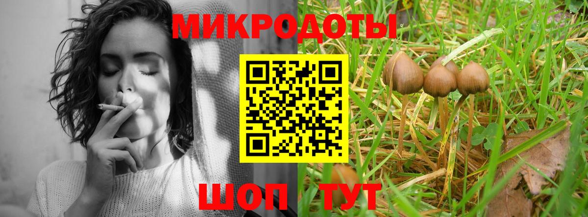 Славянск-на-Кубани  Псилоцибиновые грибы Magic Shrooms  Псилоцибиновые грибы GOLDEN TEACHER  Вход с VPN 