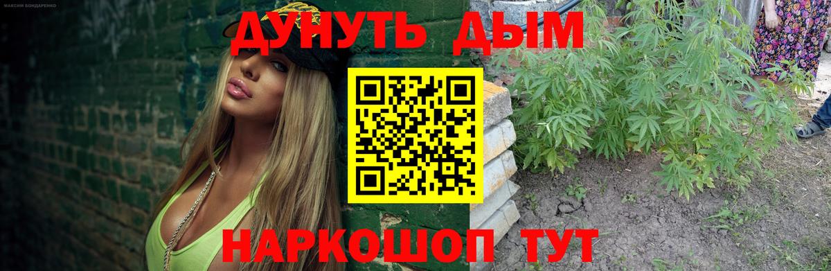 Конопля сатива Славянск-на-Кубани